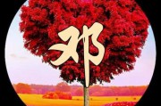 微信头像2025年姓氏头像