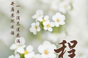 带梦字的女生古风女生网名