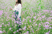 诱惑性的女人网名