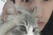带父的男生网名
