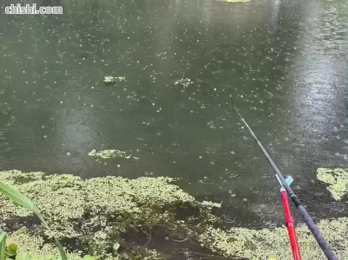 下雨天、钓鱼，这6点一定要注意！肺腑之言