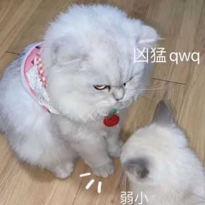 情侣头像图片大全2025 第2张