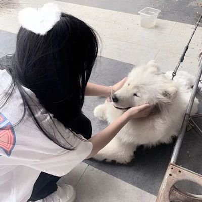 高级感情侣头像图片大全 第3张