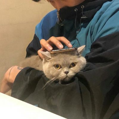 男生霸气高冷头像图片真人 第7张