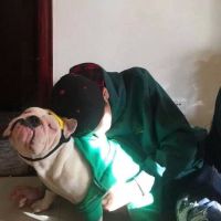 男生头像图片 逗比 第13张