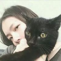 关于冷的网名女 第1张
