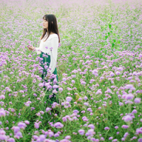 诱惑性的女人网名 第1张